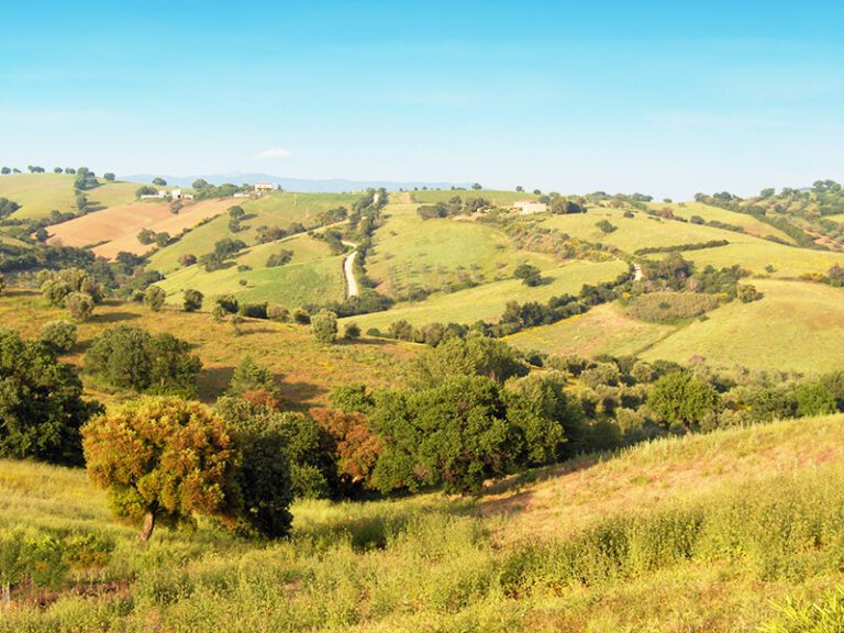 agriturismo campagna maremma toscana grosseto poggio al vento 768x576