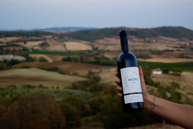 montero1 768x514