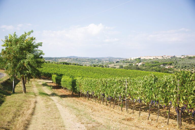 territorio2 768x512