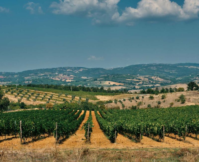 Chi-siamo-2