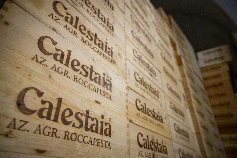 ROCCAPESTA 24 07 050 768x512