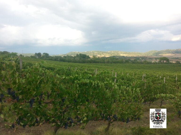 fattoria la peschiera 768x576