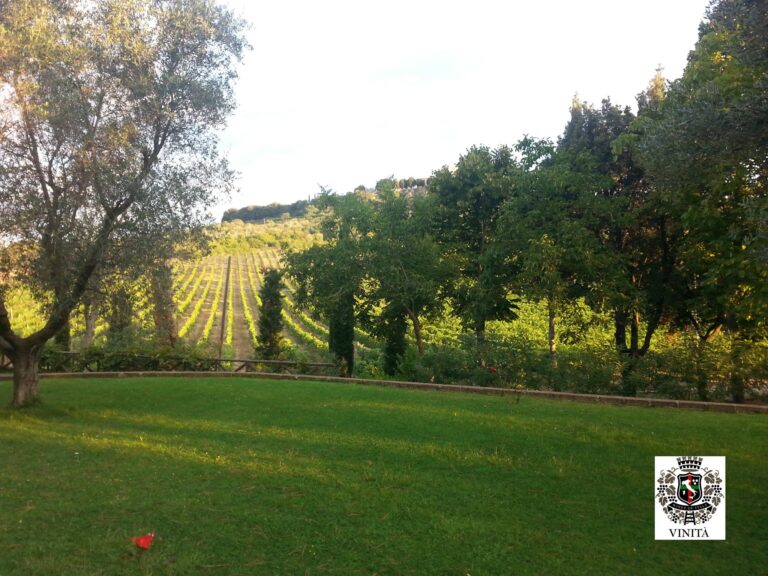 fattoria la peschiera2 768x576