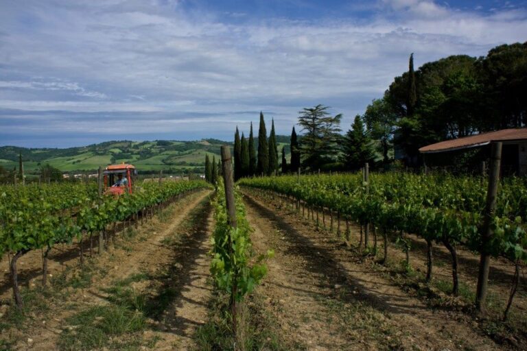 fattoria la peschiera4 768x512