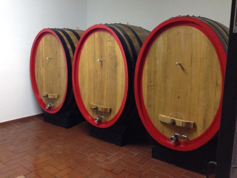i cavallini2 768x576