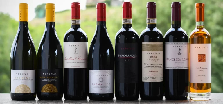 intro vini terenzi scansano finale 768x360