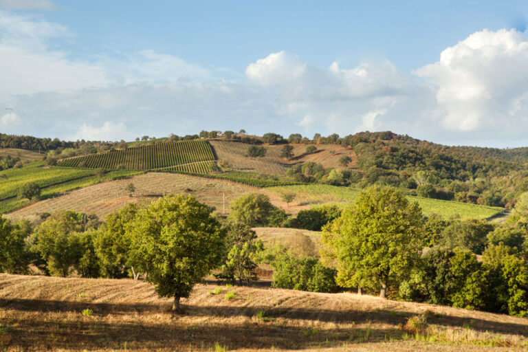 la mozza2 768x512