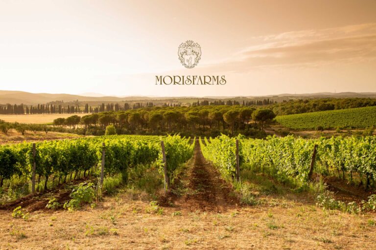 morisfarms1 768x512