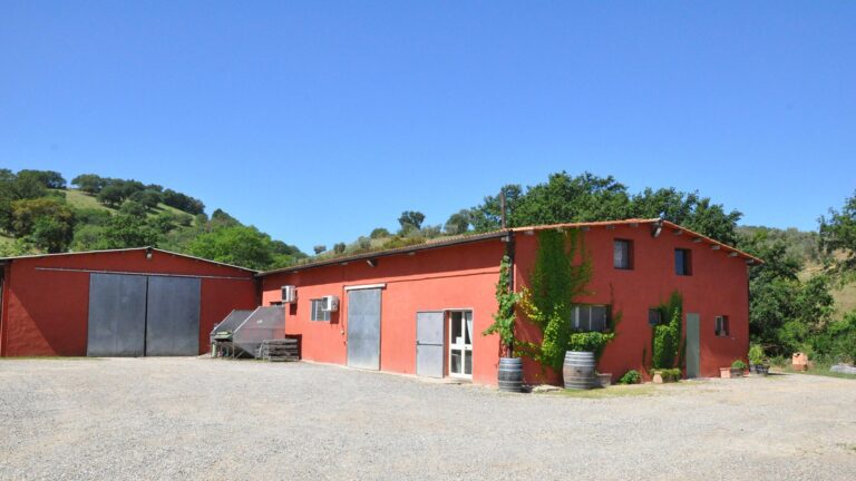 podere casina1 768x432