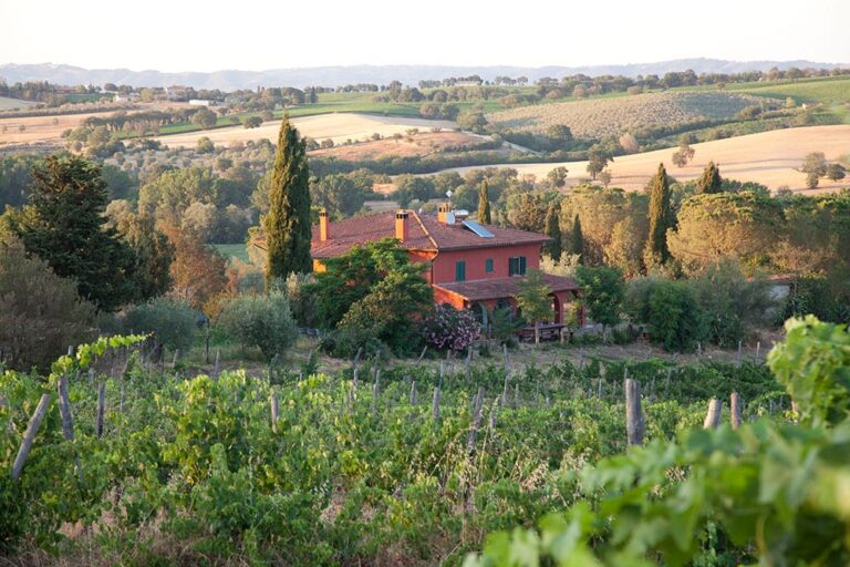 podere casina2 768x512