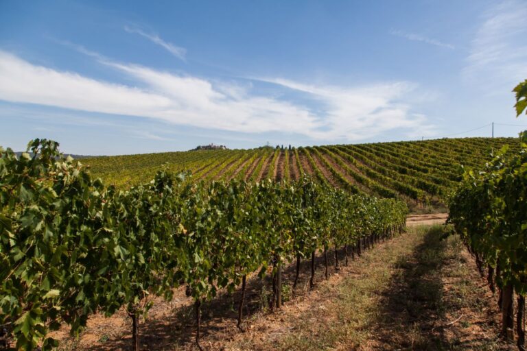 poggio maestrino2 768x512