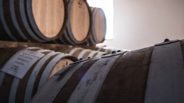 tenuta pietramora1 768x432