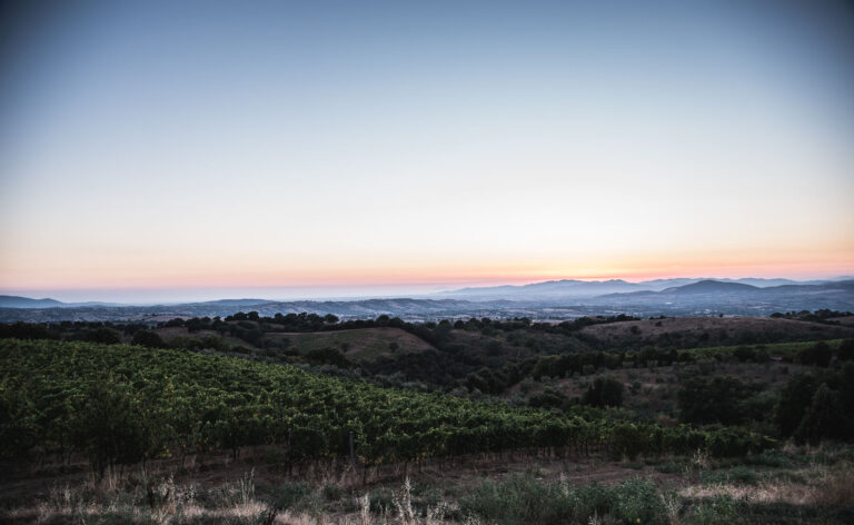 tenuta pietramora2 768x472