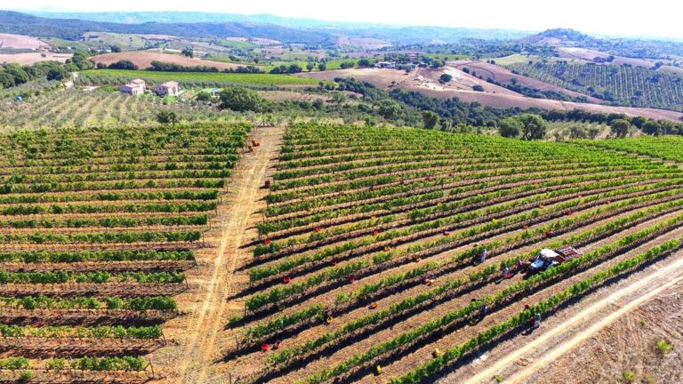 terre etruria2 768x432