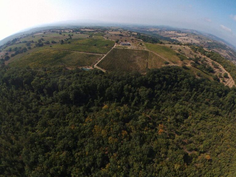 podere poggio bestiale02 768x576