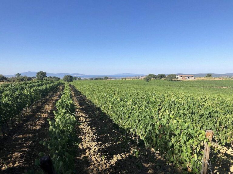 podere poggio bestiale03 768x573