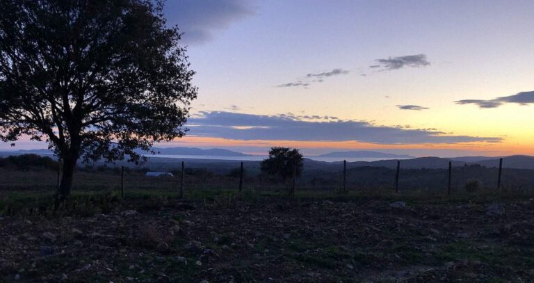 podere poggio bestiale07 768x407