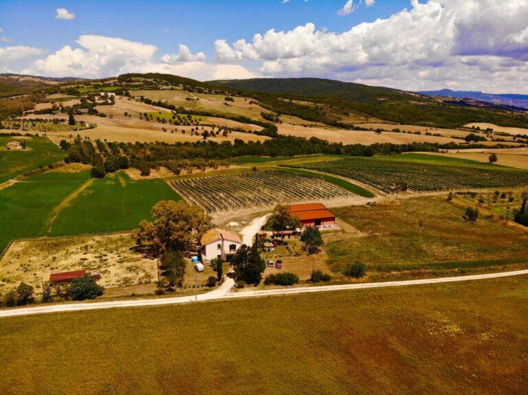poggio la luna 2 768x575
