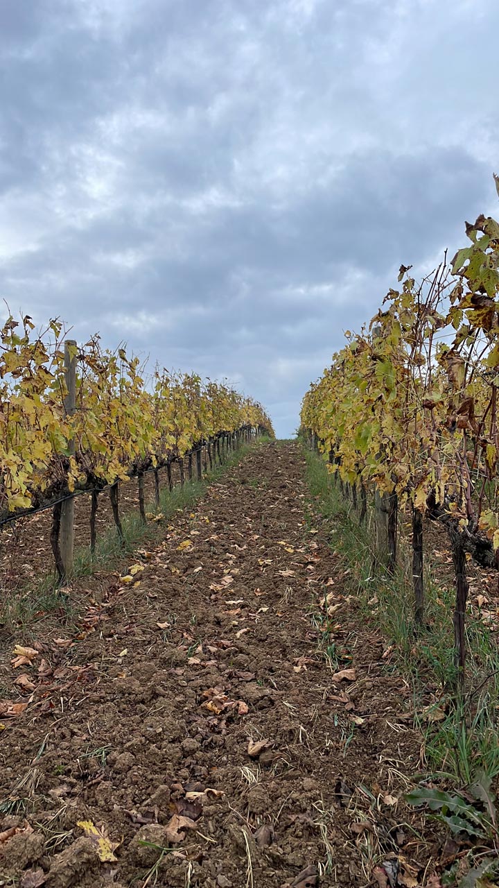 tenuta agostinetto 3