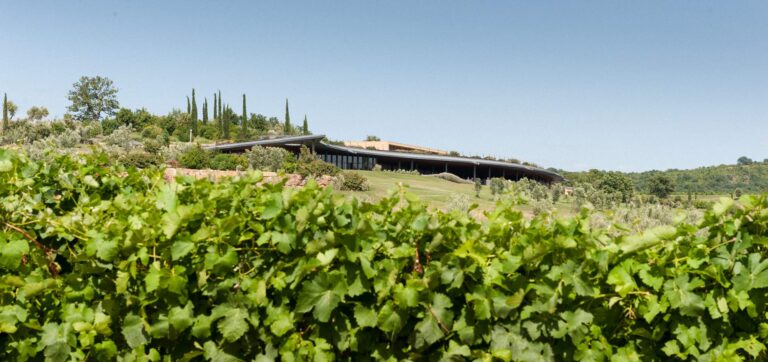 tenuta ammiraglia04 768x362