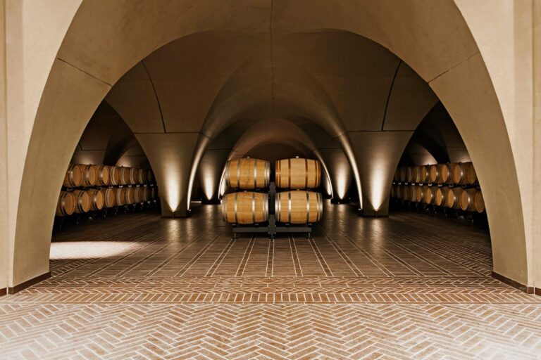 val delle rose BARRICAIA 768x512