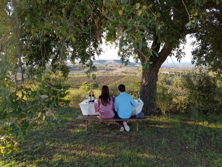 val delle rose wine experience 768x576